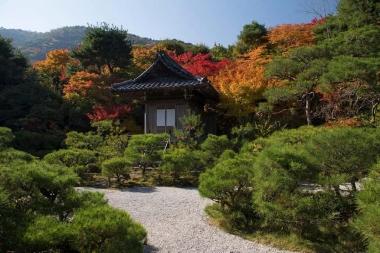 Kyoto: Arashiyama Bamboo, Togetsukyo bridge, Sanso, and more - What to Expect: The Practicalities