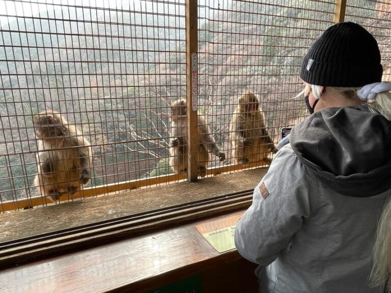 Kyoto: Arashiyama Guided Tour, Bamboo, Monkey, Zen Temple - Who Will Benefit Most from This Tour?