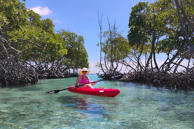 La Parguera Boat Charter with Captain: Kayak & Snorkel - The Itinerary: What to Expect