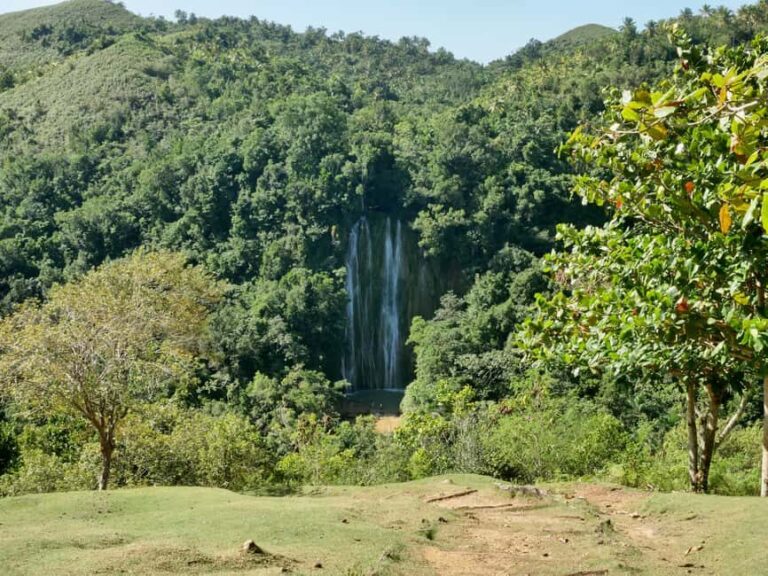 Las Terrenas: El Limón Waterfall Trekking Tour in Samana - Authentic Feedback from Travelers