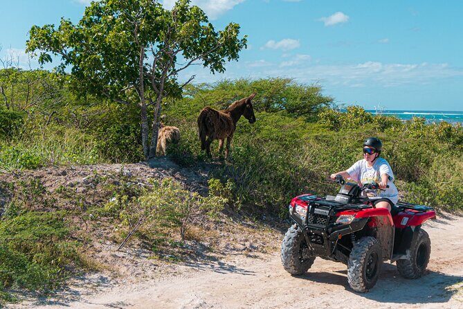 Lets Ride Adventures ATV Tour in Grand Turk - The Value Proposition