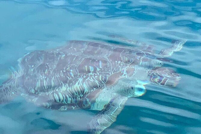Little Bay Half-Day Sail & Snorkel Adventure - The Authentic Sailing Experience