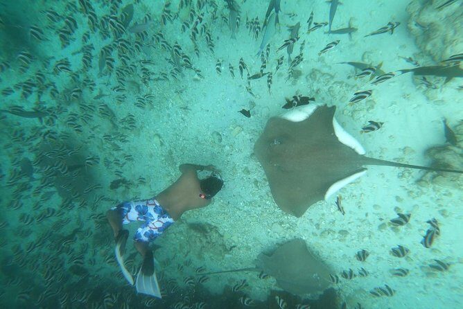Local Island Day Trip from Hulhumale - Practical Considerations