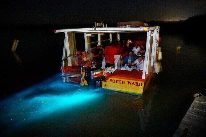 Luminous Lagoon Tour from Montego Bay ( Glistening Waters) - The Itinerary Breakdown