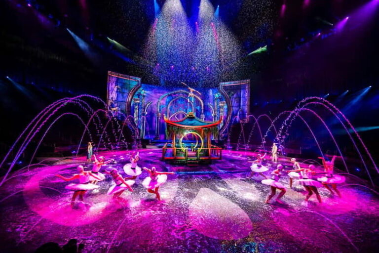 Macau: House of Dancing Water Show Ticket - The Theater and Viewing Experience