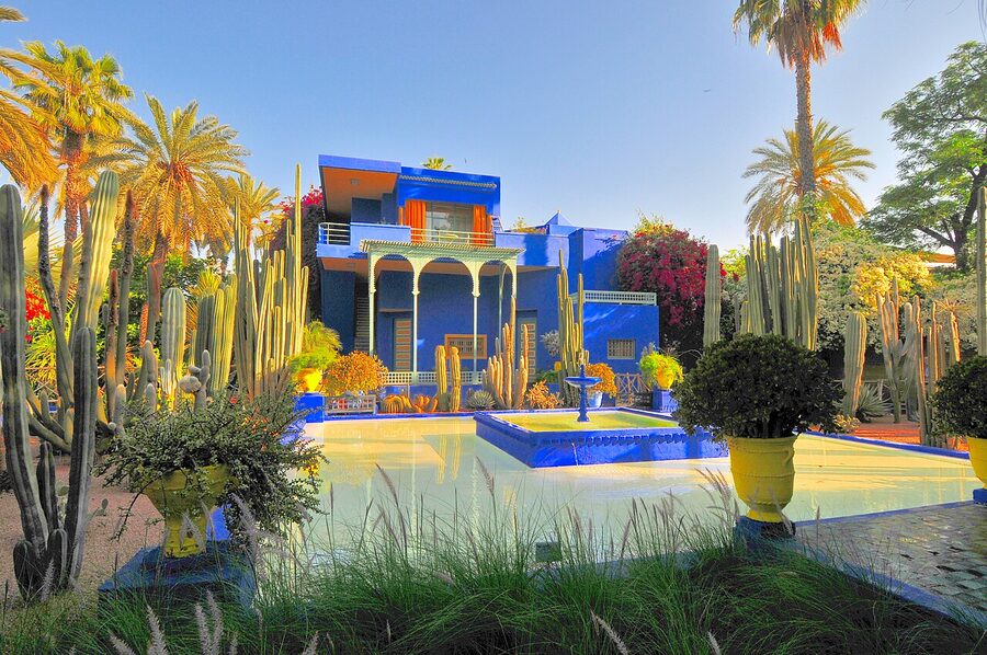Majorelle Garden bamboo grove