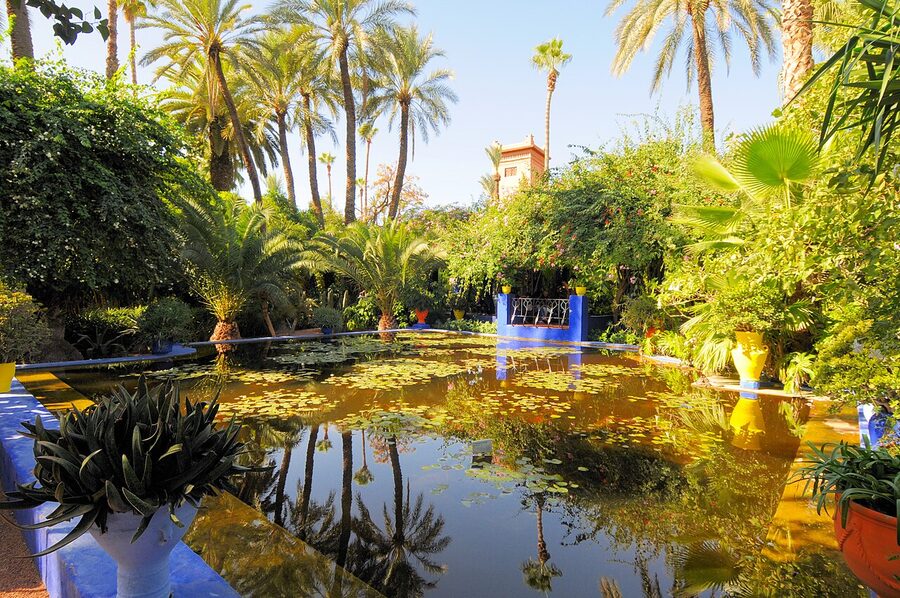 Majorelle Garden details