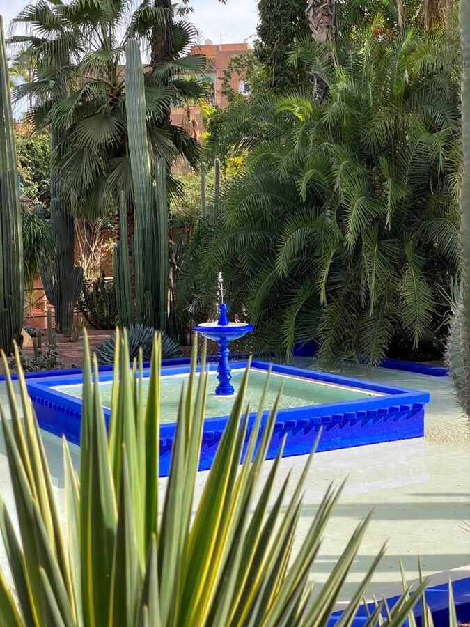 Majorelle Garden picture view