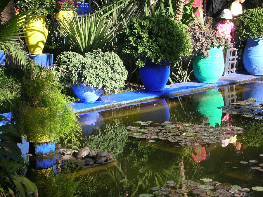 Majorelle Garden plants and paths