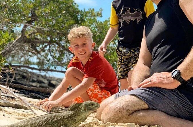 Mangrove & iguana Tour - Why the Guides Make a Difference