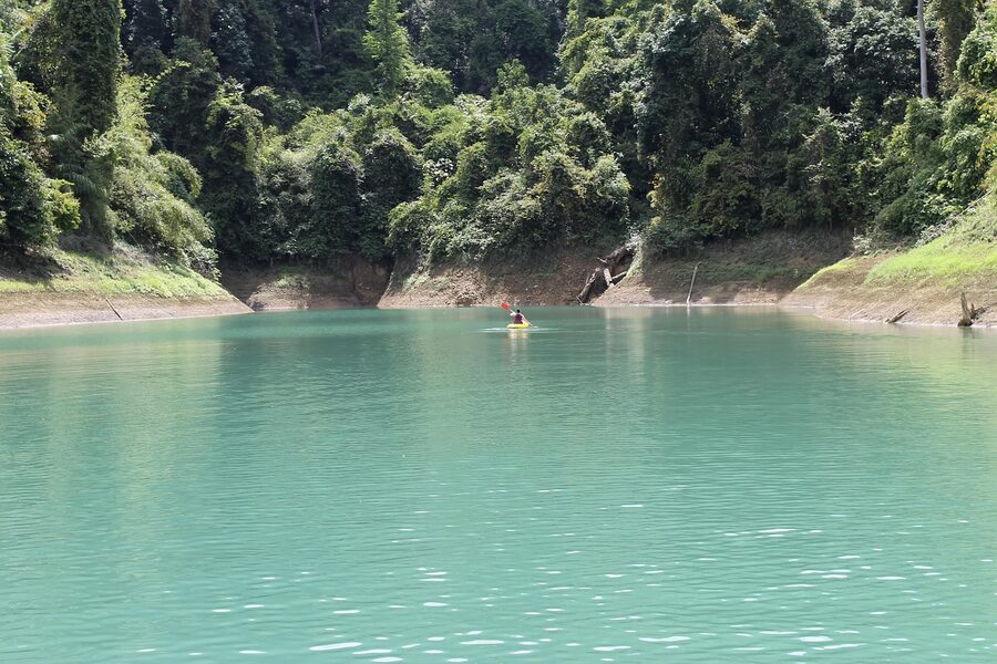 Kayaking through mangrove forest in nature reserve