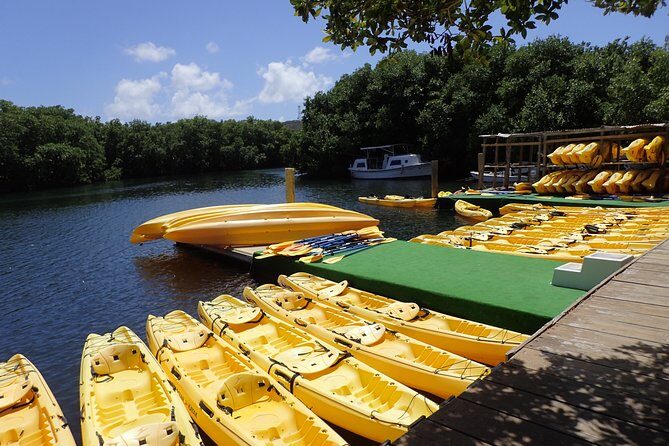 Mangrove Lagoon Kayak Rental in St Thomas - Who Will Love This Experience?