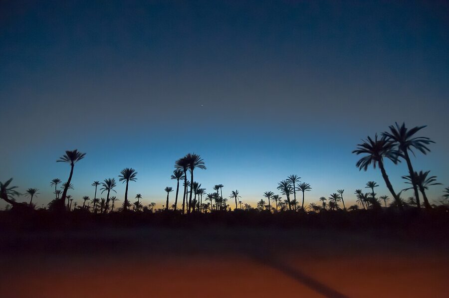 Palmeraie Marrakech at night