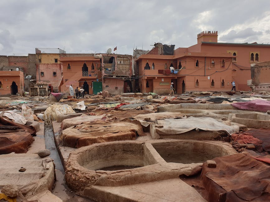 Marrakech traditional tannery