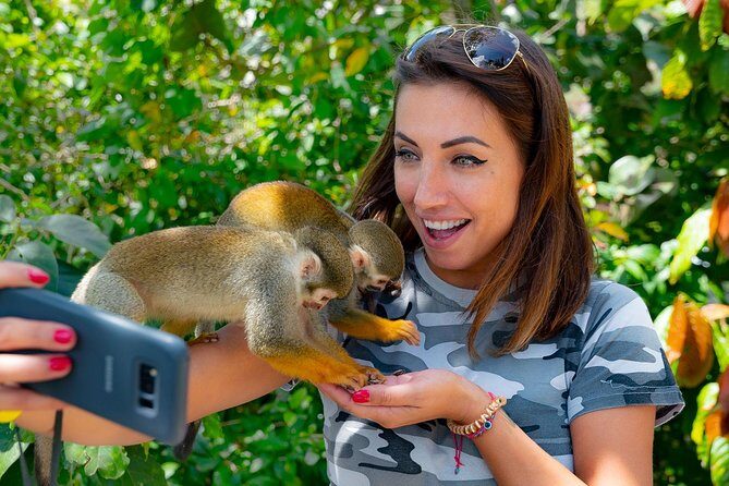 Monkeyland & Plantation Safari Full Day from Juan Dolio - Practical Details and What You Should Know