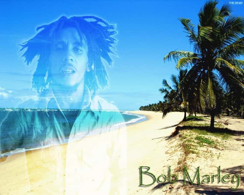 Montego Bay: Bob Marley Tour to 9 Mile, St. Ann - Practical Details and Experience Quality
