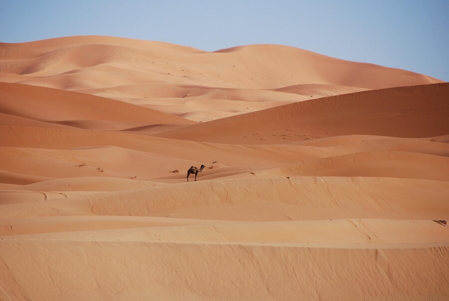 Morocco desert sand dunes camel