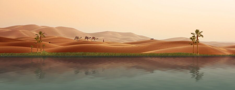 Oasis with caravan palm trees