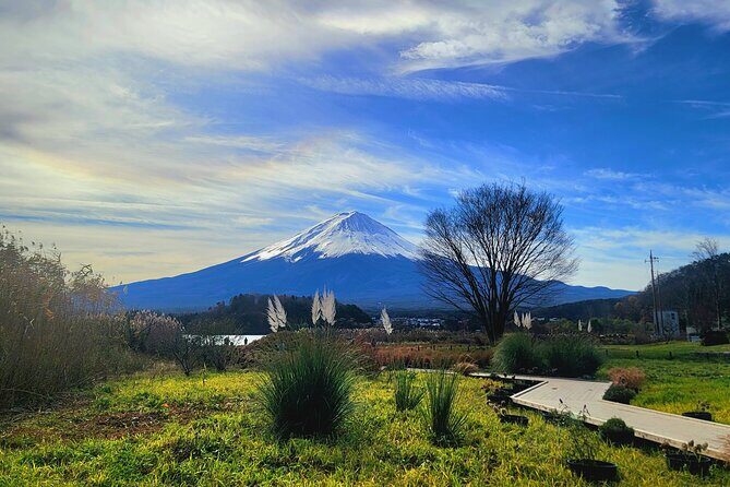 Mount fuji and Hakone Full day private sightseeing tour - The Experience and Value
