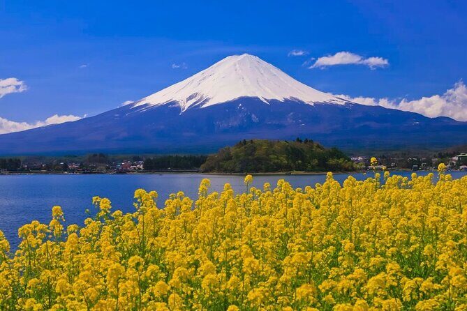 Mount fuji Private Tour - What Makes This Tour Special?