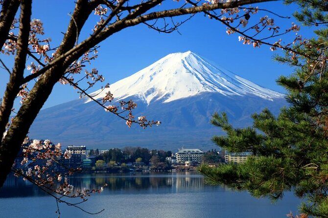 Mt Fuji and Hakone 1-Day Bus Tour Return by Bullet Train - Lake Ashi Cruise