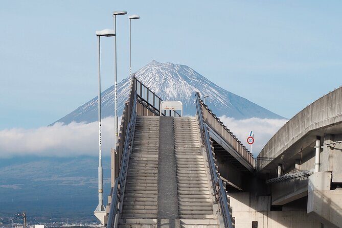 Mt. Fuji Highlight Photo Spots One Day Tour from Tokyo - The Practicalities: What You Need to Know