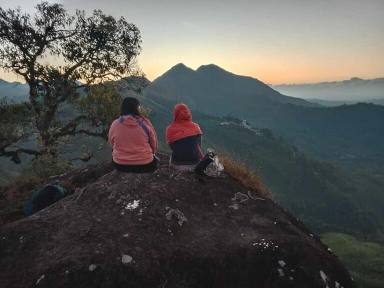 Munnar: Half day Guided Trek - Price & Value