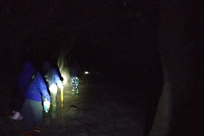 Nagtibba Trek (Pantwari to Pantwari) - A Detailed Breakdown of the Itinerary