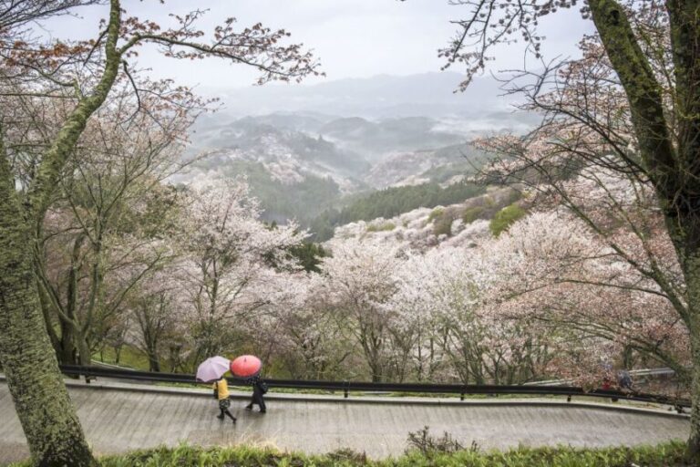 Nara: Private Walking Tour with a Local - The Value of a Personalized Tour