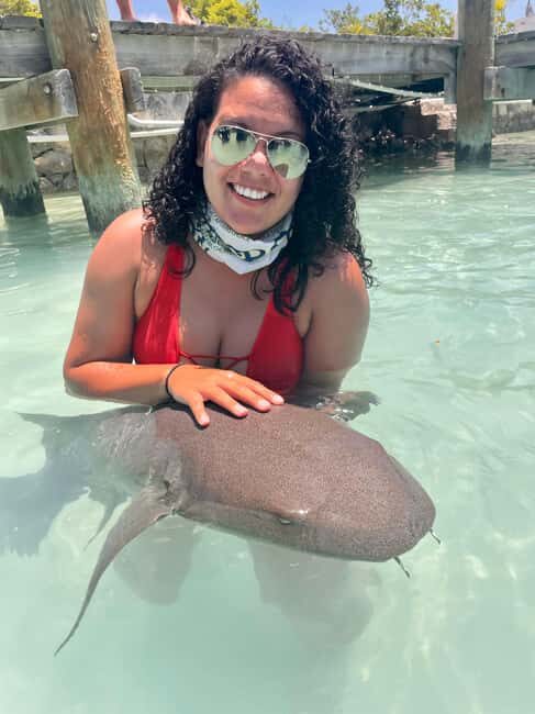Nassau: Discover Exuma Island Hopping and Swimming Pigs Tour - Allens Cay and the Bahamian Rock Iguanas