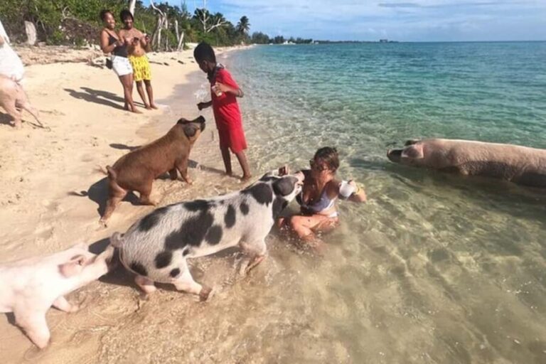 Nassau: Island Hopping Boat Trip with Lunch & Drinks - Transportation & Timing