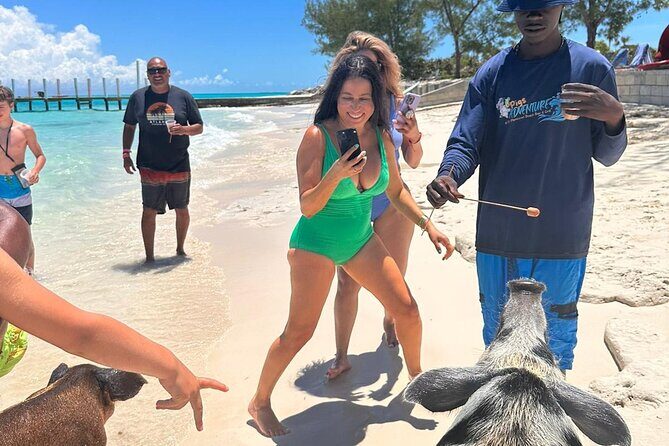 Nassau, Private Swimming Pig, Island Hopping, Snorkeling, Turtles - The Itinerary Breakdown: What to Expect