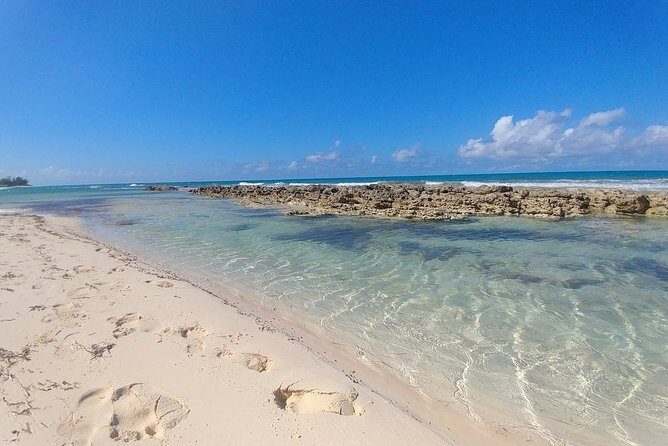 Nassau Shore Excursion: Sightseeing and Snorkeling Tour - Who Will Love This Tour?