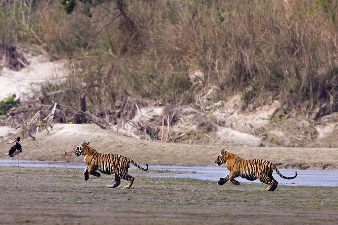 Nepal Classic Tour -12 Days - The Experience and Practicalities