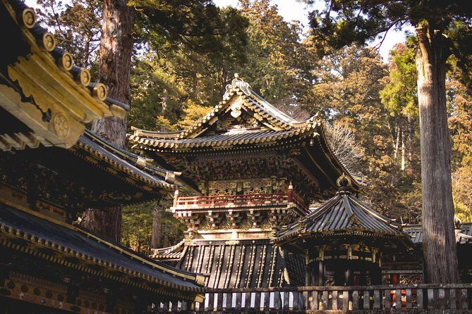 Nikko World Heritage Private Day Tour w/ English Speaking Driver - An In-Depth Look at the Tour Itinerary
