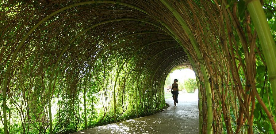 Vegetation tunnels at Oasiria Water Park Marrakech