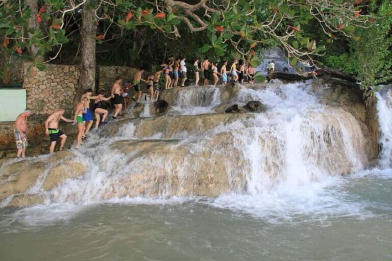 Ocho Rios: Dunns River Falls & Reggae Hill Tour - The Experience in Detail