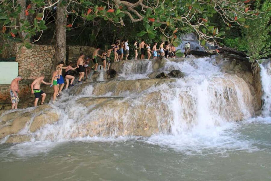 Ocho Rios: Dunns River Falls & Reggae Hill Tour - The Experience in Detail