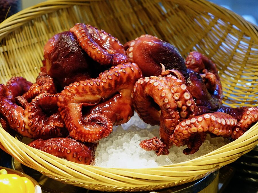 Octopus with tentacles in underwater habitat