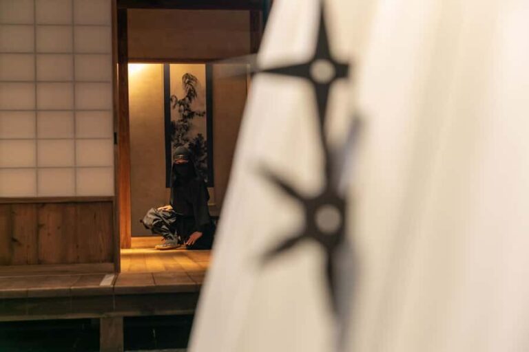 Odawara: Guided Ninja & Samurai Tour of Odawara Castle - Why You Should Consider This Tour