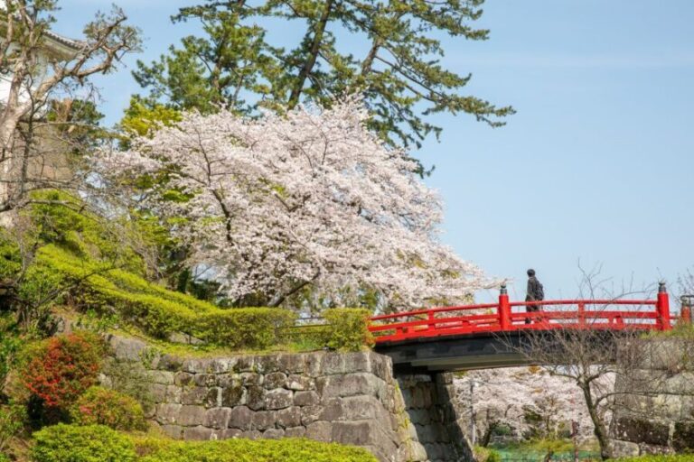 Odawara: Odawara Castle Tenshukaku Entrance Ticket - Who Will Love This Experience?