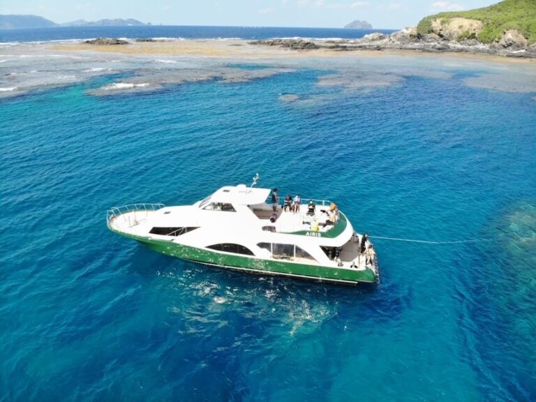 Okinawa: Naha: 1 day Kerama Islands diving license required - What To Expect From This Dive Tour