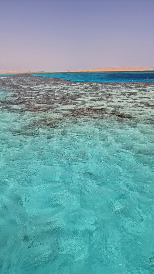 Coral reef edge with fish at Giftun Islands in the Red Sea near Hurghada