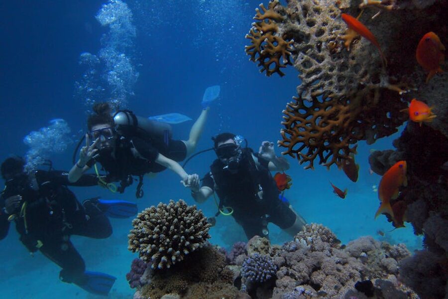 Scuba divers in Red Sea with regulator bubbles rising to surface near reef