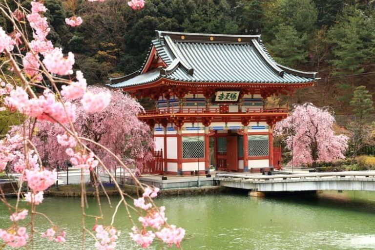 Osaka/Kyoto: Katsuoji, Kinkakuji, Arashiyama 1-Day Bus Tour - Arashiyama: An Enchanting Natural Retreat