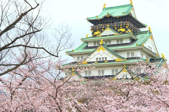Osaka Private Walking Tour with a Local - The Value of a Private, Personalized Tour