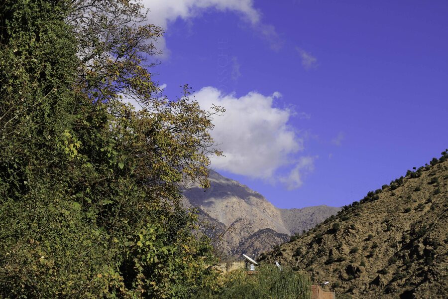 Autumn in Ourika Valley with red and orange leaves