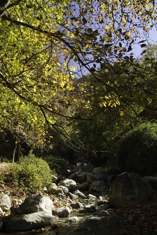 Autumn scenery in Ourika Valley