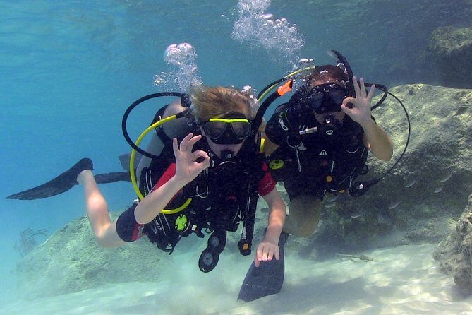 PADI Discover Scuba Dive at Coral Divers Curacao - Who Should Consider This Tour?