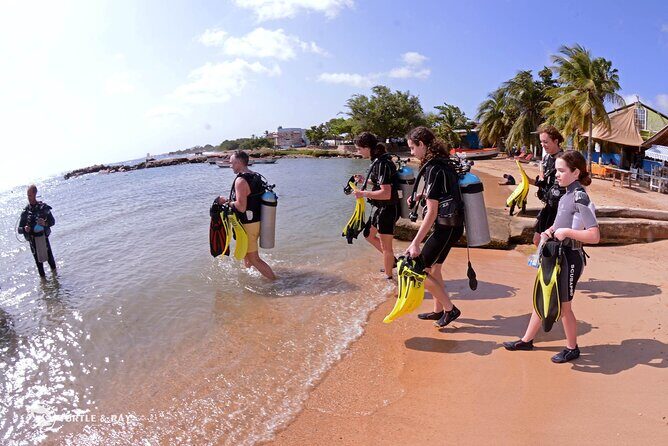 PADI Discover Scuba Dive - The Experience’s Drawbacks